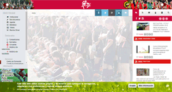 Desktop Screenshot of fcylf.es